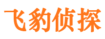 坡头私家侦探公司